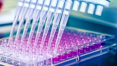 Automated laboratory pipettes dispensing liquid into a clear multi-well plate under blue lighting.