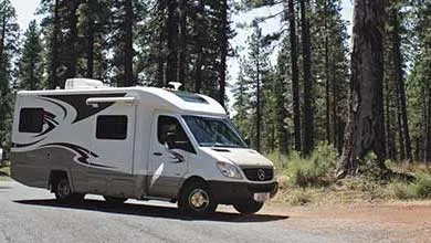 A white and gray Class C motorhome with dark curved graphics is parked beside a road next to a dense pine forest.