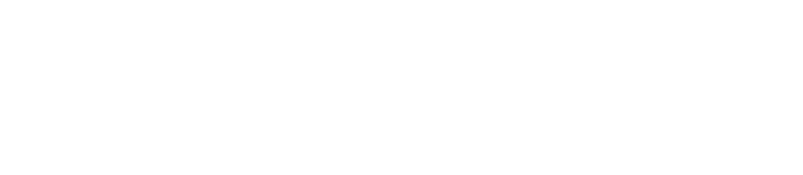This report contains forward looking statements. Forward looking statements will give current expectations or forecas...